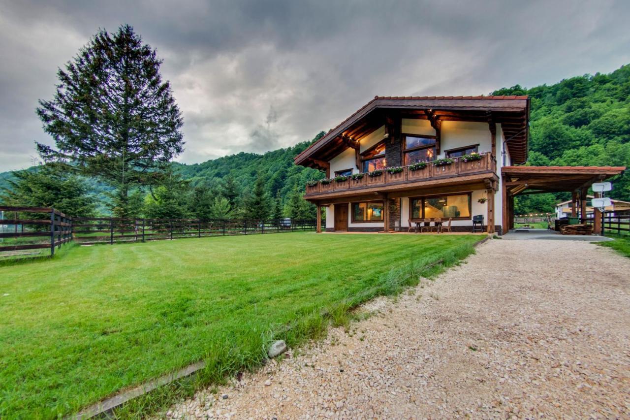 Avalanche Plaiul Foii Villa Zărneşti Kültér fotó